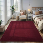 Larhom Modern Soft Area Rugs Memory-Foam Bedroom Carpet, 4X6 Feet Burgundy Red Carpet For Boys Girls Living Room, Dorm Nursery D
