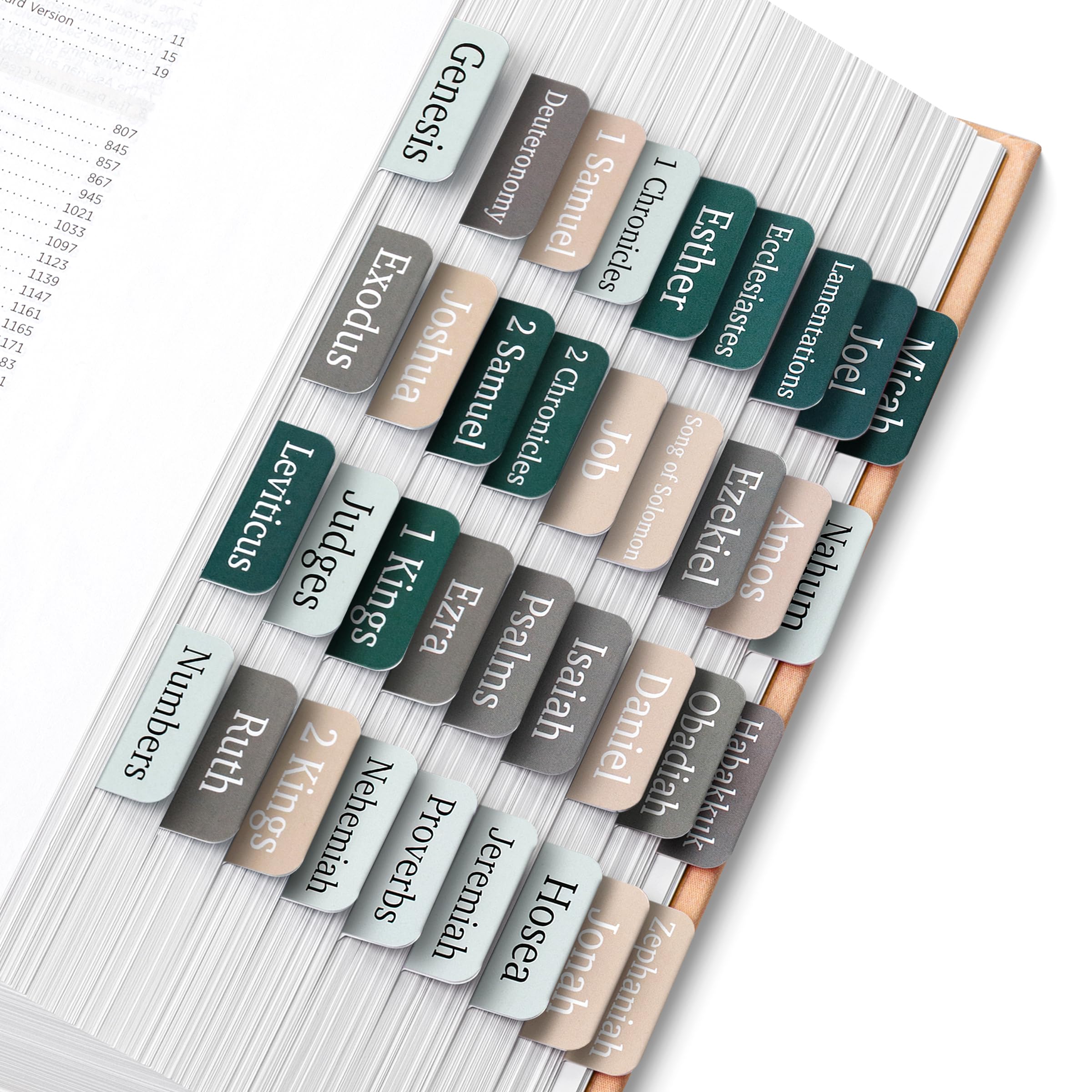 Mr. Pen- Bible Tabs, 75 Tabs, Winter Wood, Laminated Bible Tabs For Women And Men, Bible Tabs For Study Bible, Bible Index Tabs,