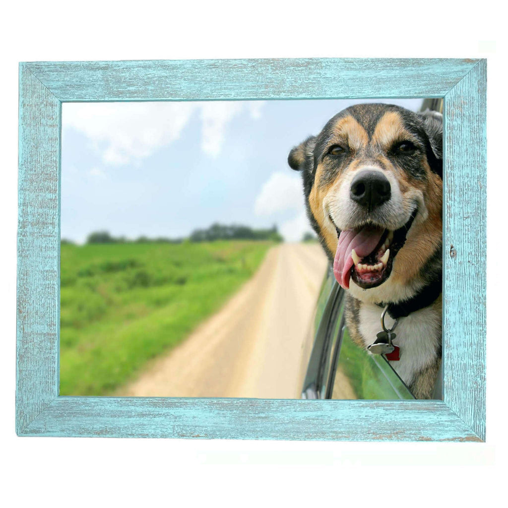 Barnwoodusa | Farmhouse 12X18 Picture Frame | 1 1/2 Inch Molding | 100% Reclaimed Wood | Rustic | Robins Egg Blue