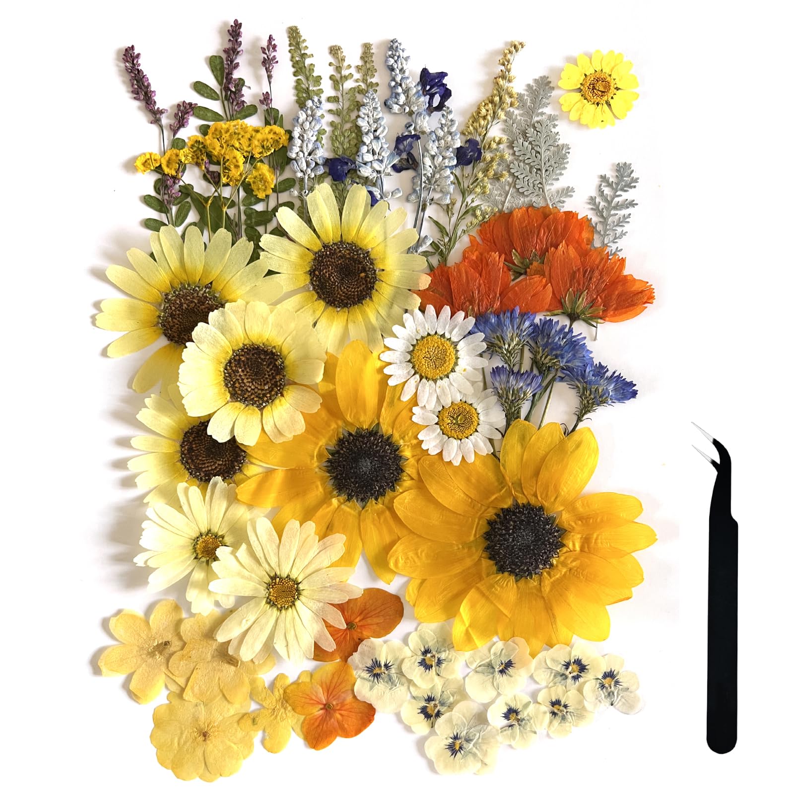 Zqmino A4 Large Dried Pressed Flowers For Resin Sunflower Pressed Flowers Real Dry Natural Flowers Leaves For Resin Mold Cake Ca