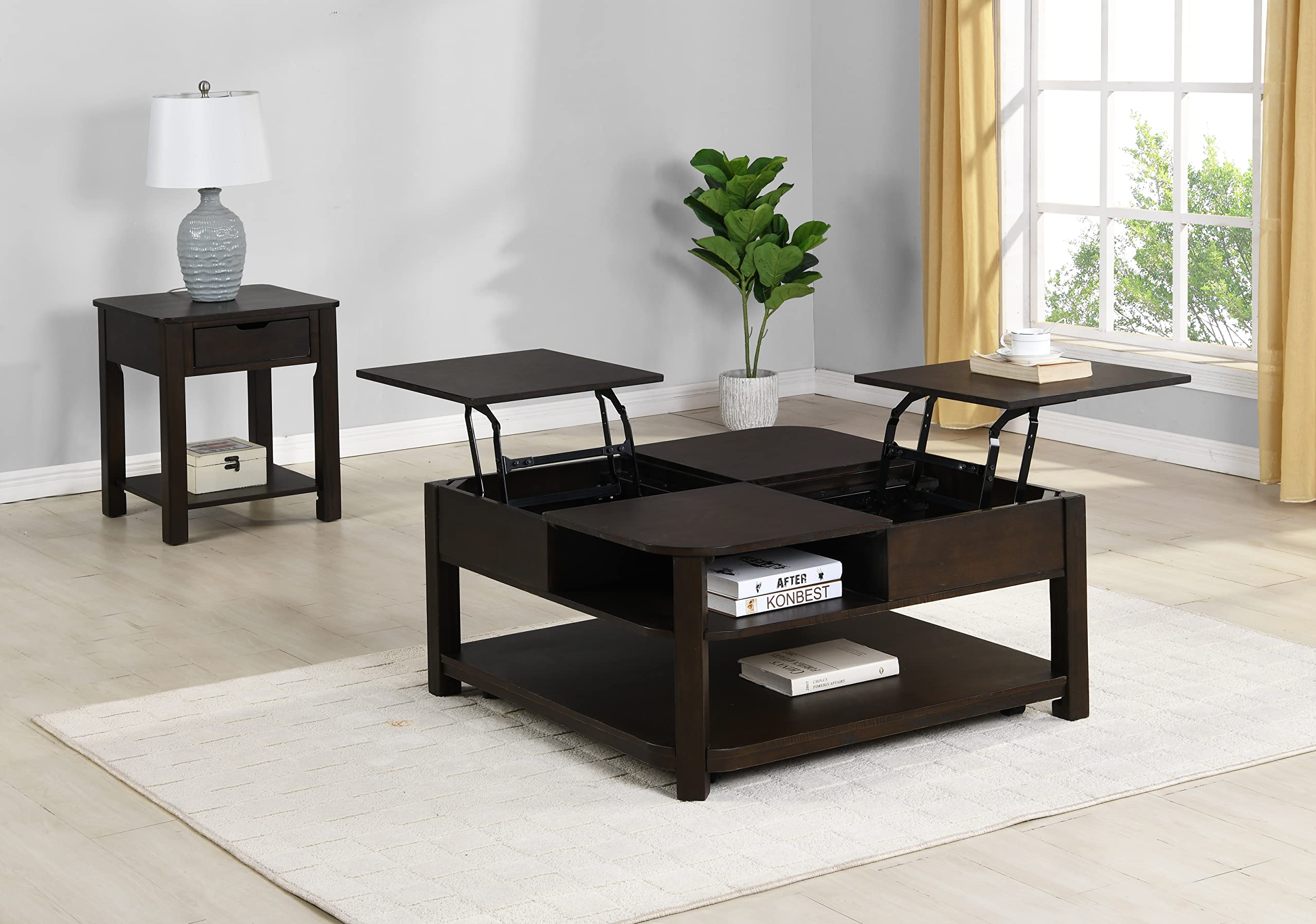 Lilola Home Flora 2 Piece Dark Brown MDF Lift Top Coffee and End Table Set