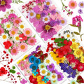Augshy 141Pcs Dried Pressed Flowers For Resin, Natural Dried Flowers Real Pressed Flowers For Crafts, Resin Mold Scrapbooking, C
