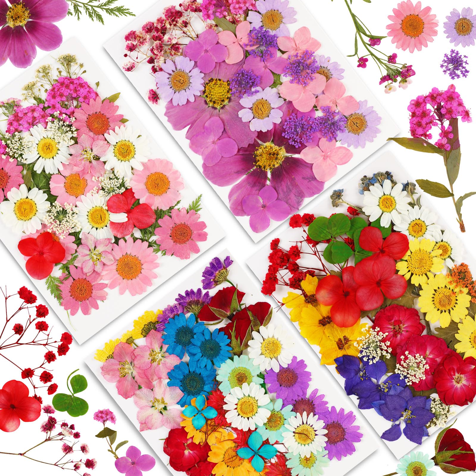 Augshy 141Pcs Dried Pressed Flowers For Resin, Natural Dried Flowers Real Pressed Flowers For Crafts, Resin Mold Scrapbooking, C