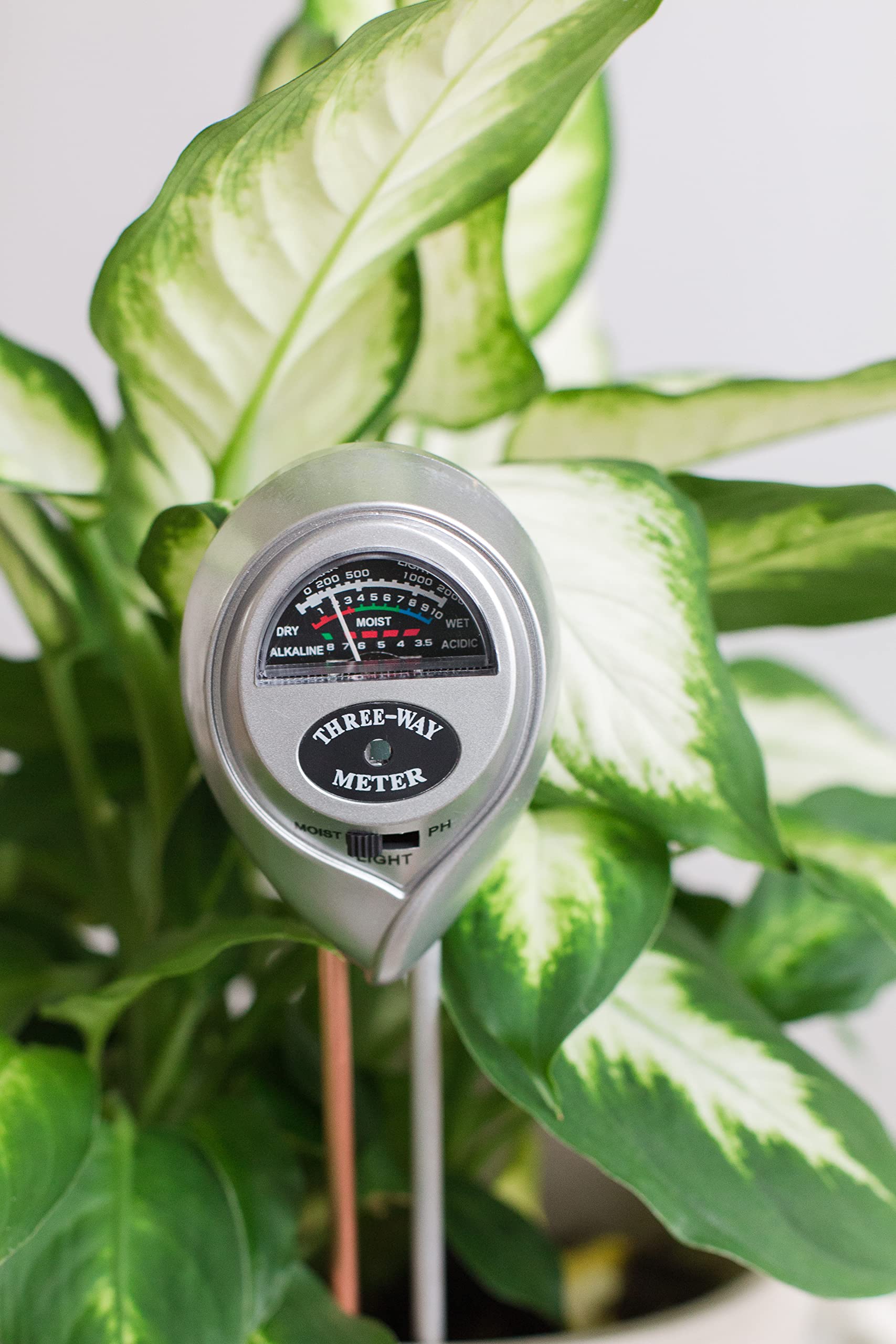 Houseplant Soil Meter For Fiddle Leaf Figs, Pothos, Monstera, And More - 3 In 1 Ph/Moisture/Light Meter Promotes Robust Plant Gr