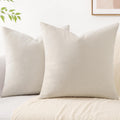 Pallene Decorative Chenille Throw Pillow Covers 18X18 Set Of 2, Luxury Soft Velvet Pillow Covers For Sofa, Couch, Living Room, B
