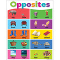 Teacher Created Resources Colorful Opposites Chart