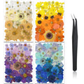 Nuanchu Pressed Flowers Bulk Dried Flower For Crafts, Dried Flower Leave Natural With Tweezer For Resin Mold Scrapbooking Diy (N