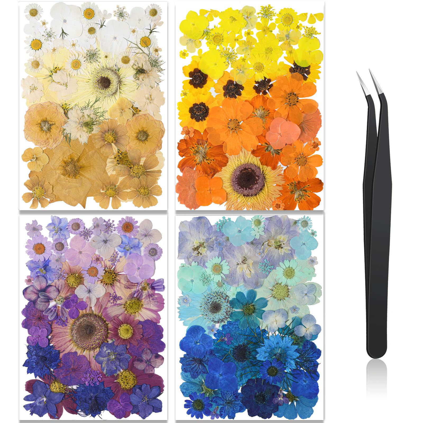 Nuanchu Pressed Flowers Bulk Dried Flower For Crafts, Dried Flower Leave Natural With Tweezer For Resin Mold Scrapbooking Diy (N