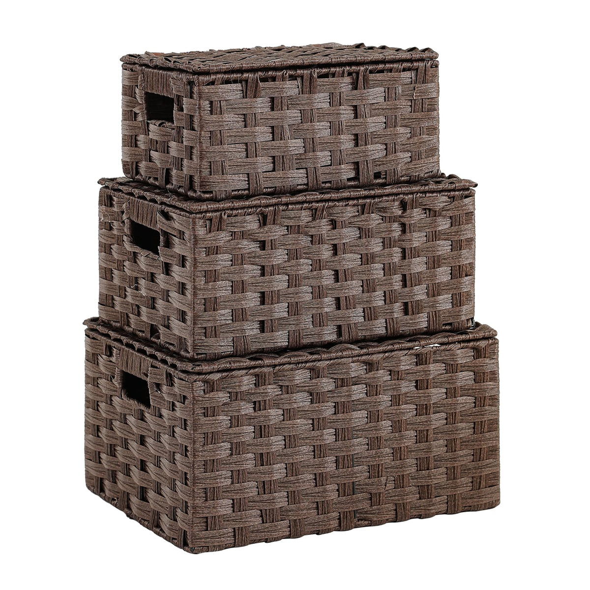 Woven Storage Bins With Lids Shelf Baskets Wicker Organizing Rattan Boxes Hand Organizer Closet Handle Makeup Bathroom Decor She