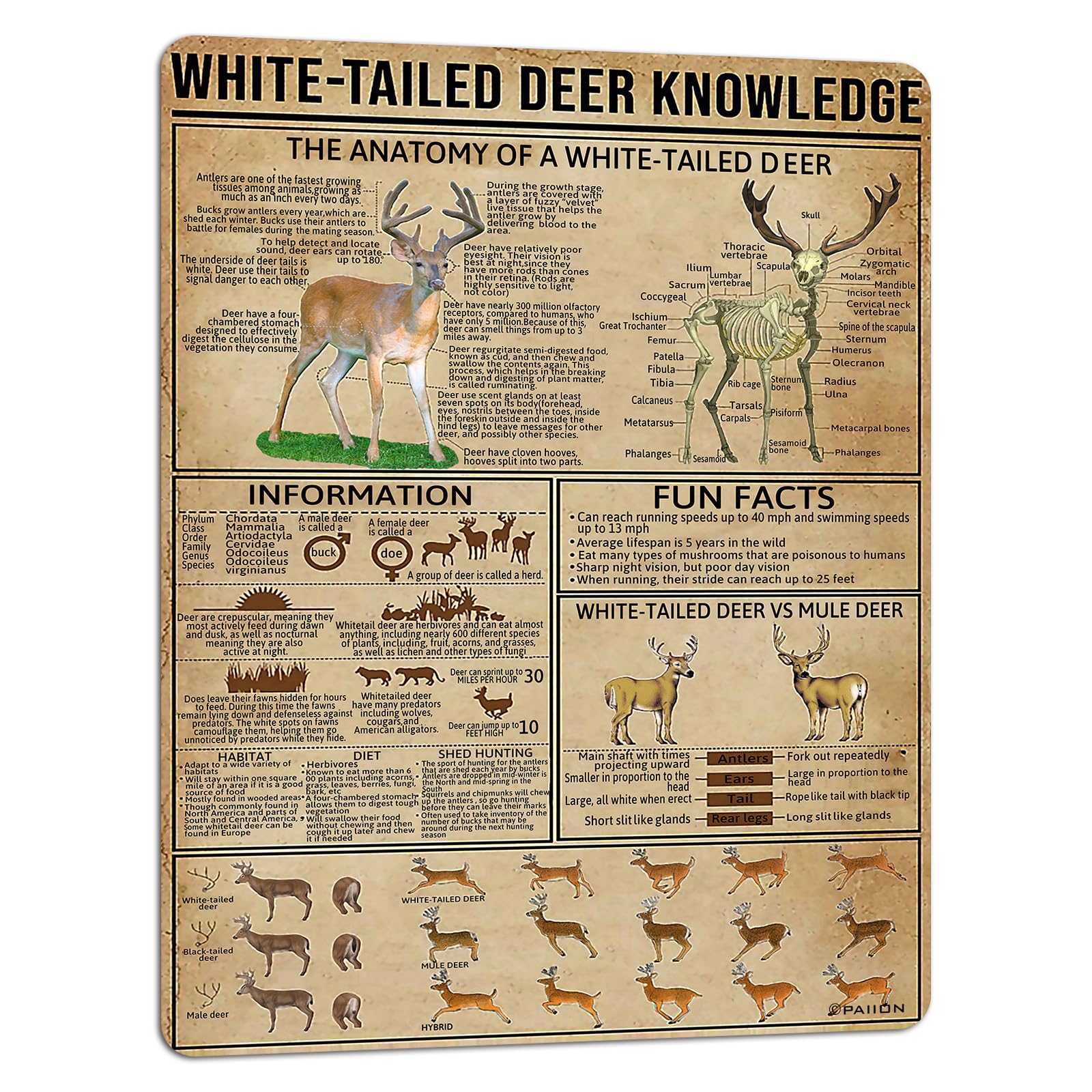 PAIION Metal Tin Signs White-Tailed Deer Knowledge Hunting Knowledge Poster Unplaning Infographics Farmhouse Farm Home Kitchen C