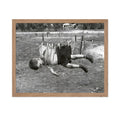 Poster Master Vintage Kid on Clothesline Poster - Retro Hanging Child Print - Photography Art - Humorous Gift for Men, Women, Pa