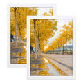 Golden State Art, Solid Wood 16x20 Wooden Picture Frame - for 16x20 Photos, 1-1/4-Inch Wide with Real Glass - Horizontal and Ver