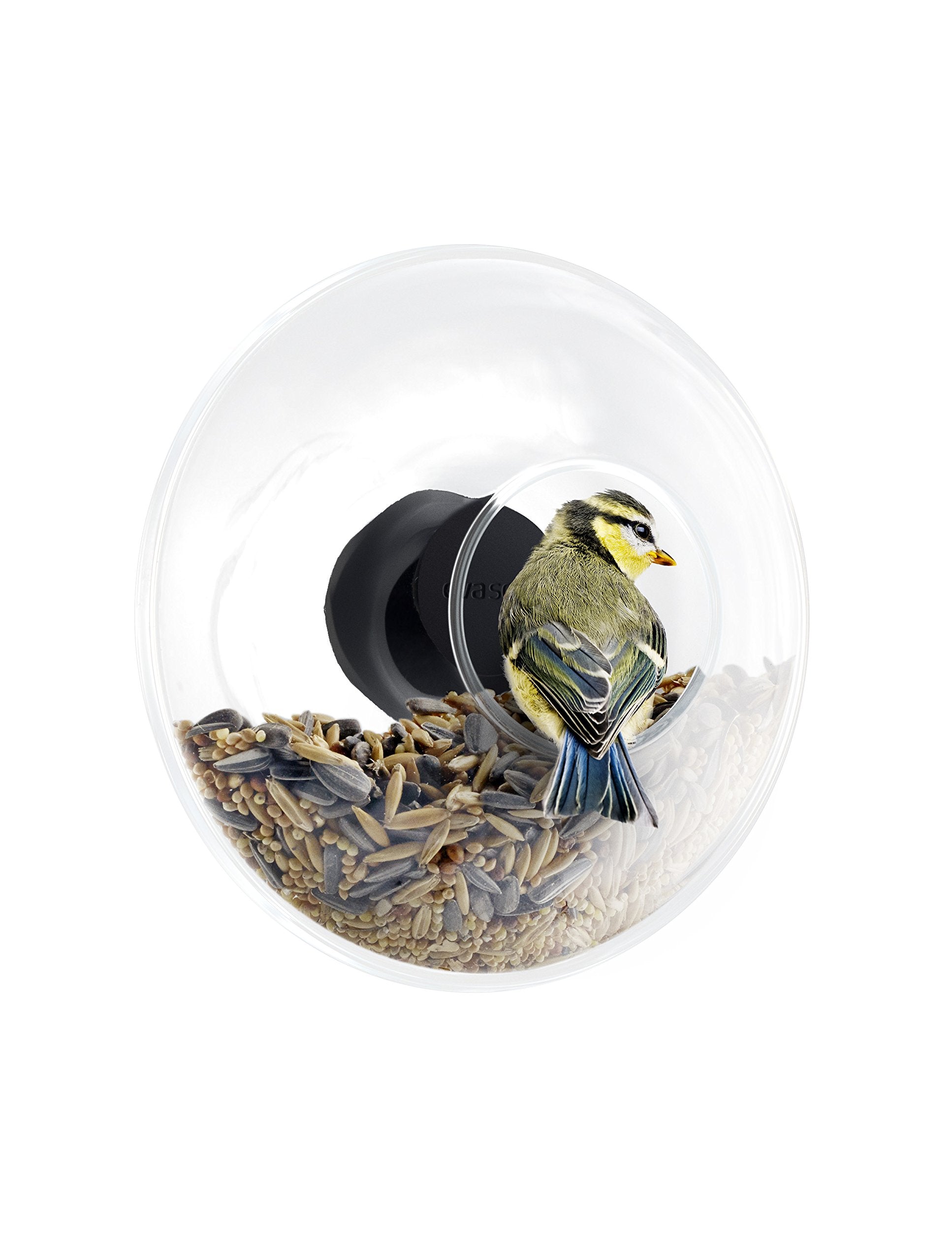 Eva Solo | Window Bird Feeder | Get The Birdlife Closer, Small Birds Lands Smoothly On The Edge | Danish Design, Functionality &