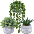 Winlyn 3 Pcs Assorted Small Potted Succulent Plants Artificial Aloe Hops String of Pearls Succulents in Gray Geometric Concrete 