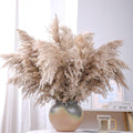 28' Inch 20 Stems Large Brown Pampas Grass Decor Tall - Natural Fluffy Pompas Grass Bulk Tall Pampas Grass For Floor Vase - Boh