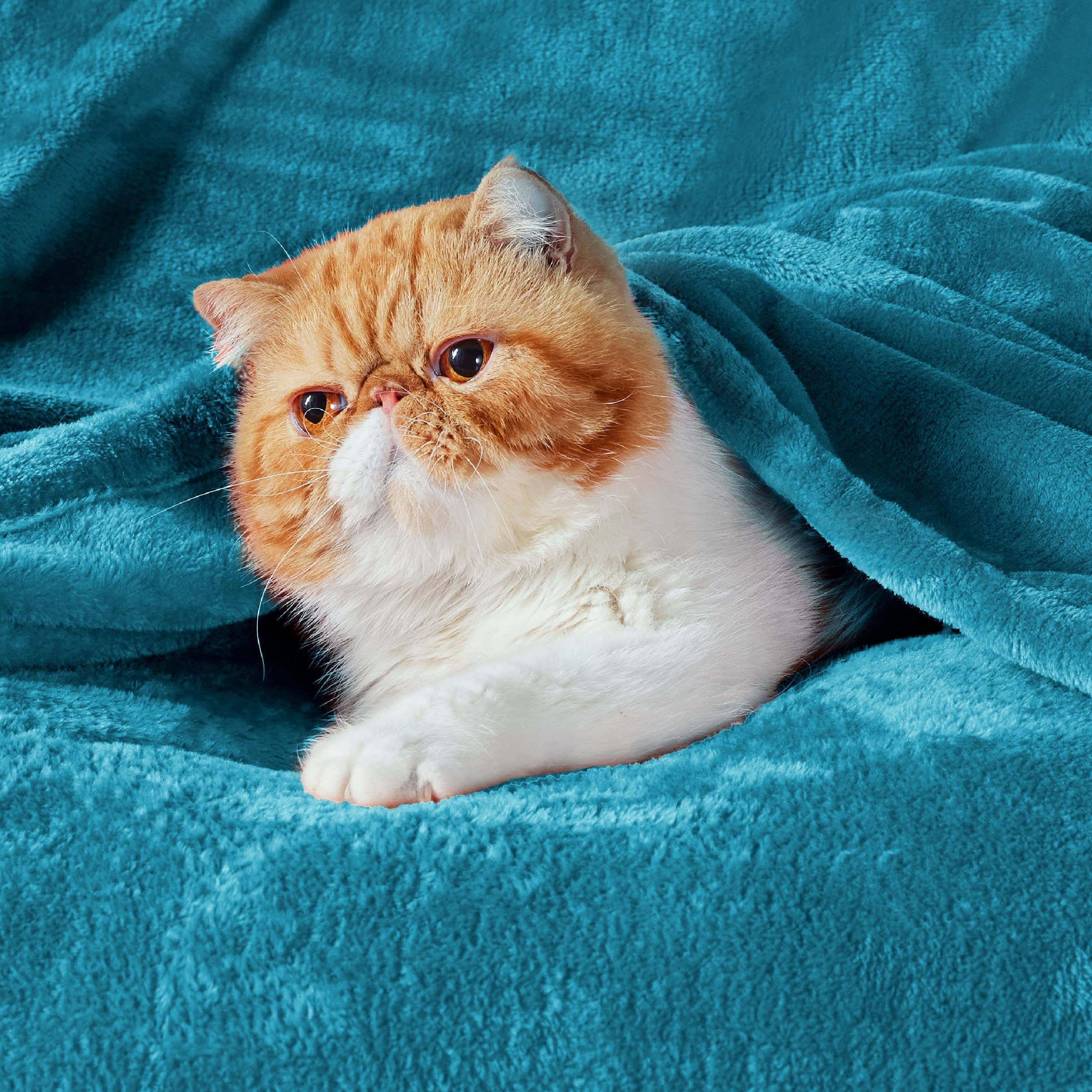 Bedsure Fleece Blanket Twin Blanket Teal-300Gsm Soft Lightweight Plush Cozy Twin Blankets For Bed,Sofa,Couch,Travel,Camping,60X8
