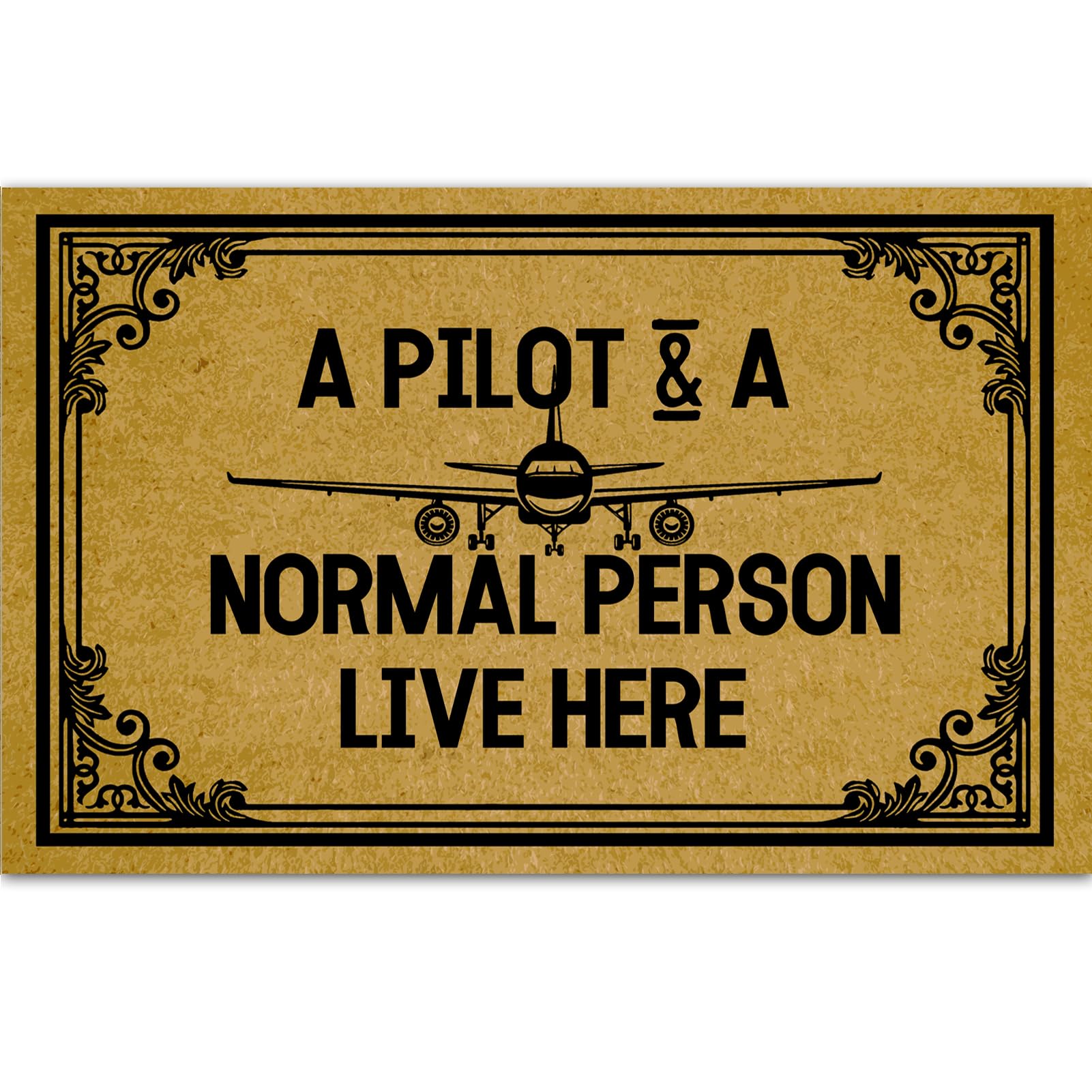 Ayatow Halloween Doormat For Outdoor Entrance Home, A Pilot & A Normal Person Live Here Indoor Christmas Floor Mats Doormat 23.6