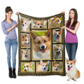 Corgi Blanket For Kids Boys Girls, Corgi Gifts For Corgi Dog Lover, Super Soft Fuzzy Dog Throw Blanket Corgis Print Plush Gift F
