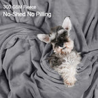 Phf Ultra Soft Fleece Throw Blanket, No Shed No Pilling Luxury Plush Cozy 300Gsm Lightweight Blanket For Bed, Couch, Chair, Sofa Suitable For All Season, 50' X 60', Grey