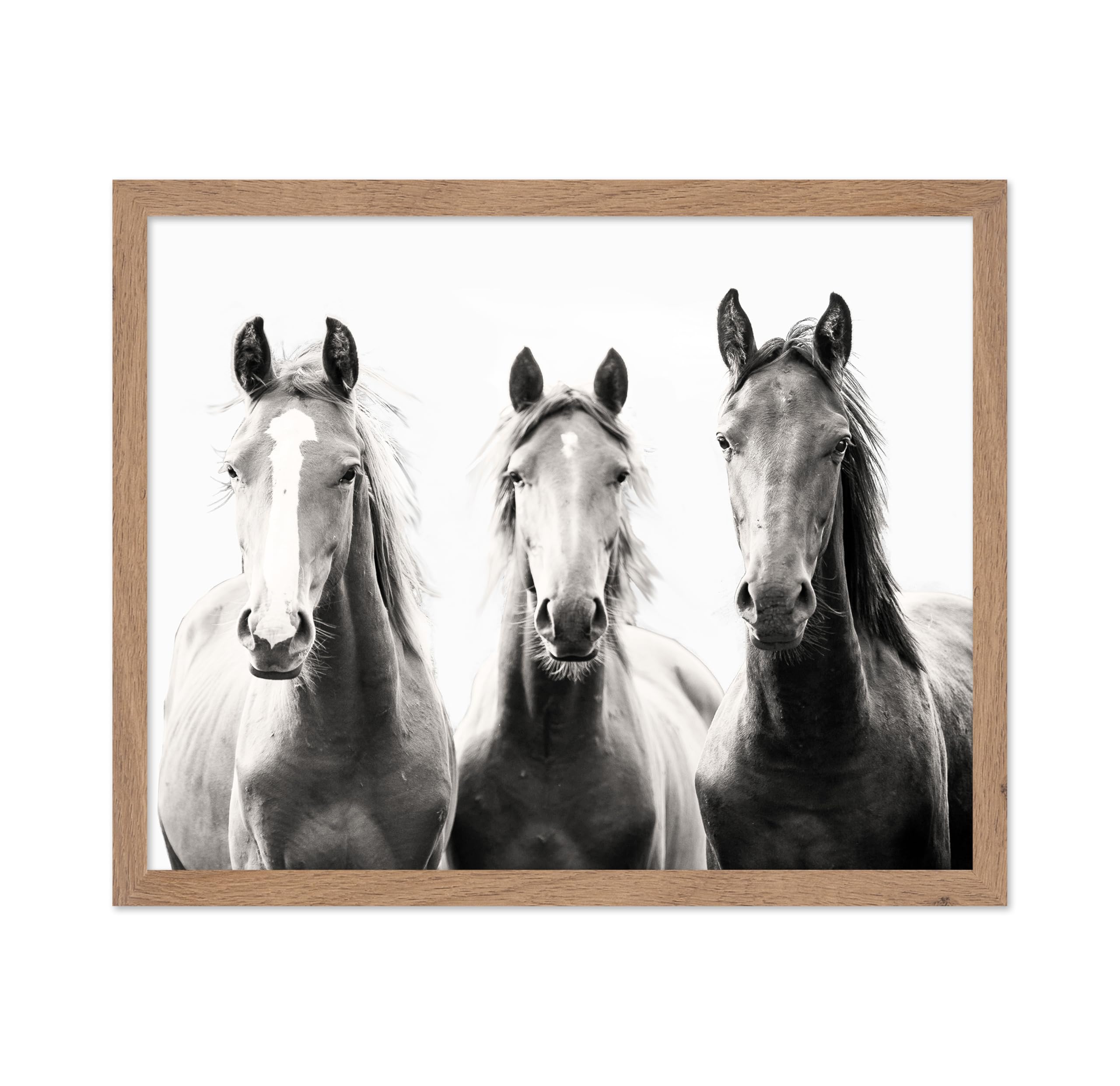 Poster Master Vintage Photograph Poster - Retro Minimalist Print - Gift for Artist, Friend - Wild Horses, Black and White, Sepia