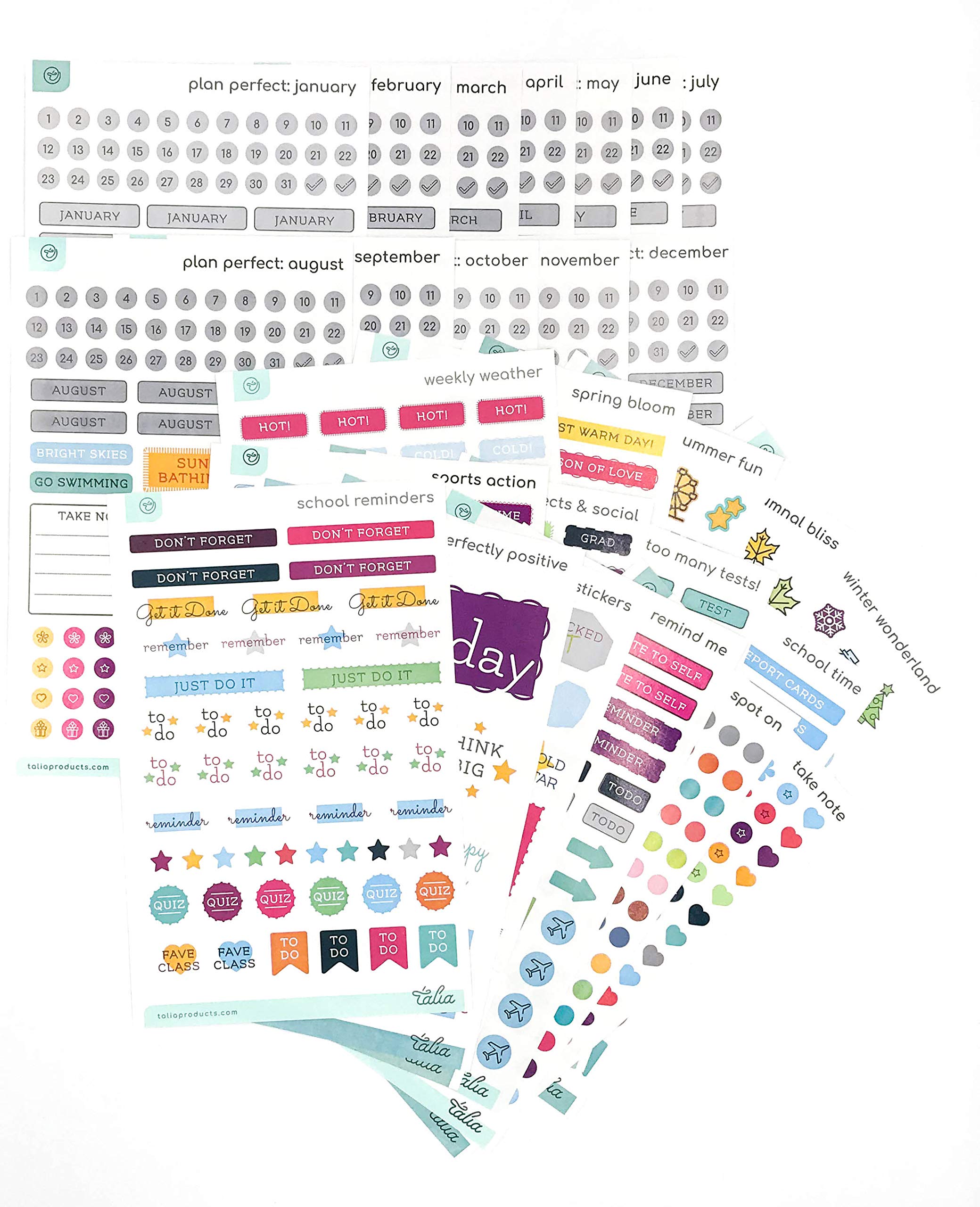Talia Discbound Notebooks, Planner, Customizable, (Yclear W/Silver Discs, Junior (5.5In X 8.5In))