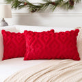 Artscope Pack of 2 Soft Plush Short Wool Velvet Decorative Throw Pillow Covers Luxury Style Cushion Covers Christmas Pillow Shel