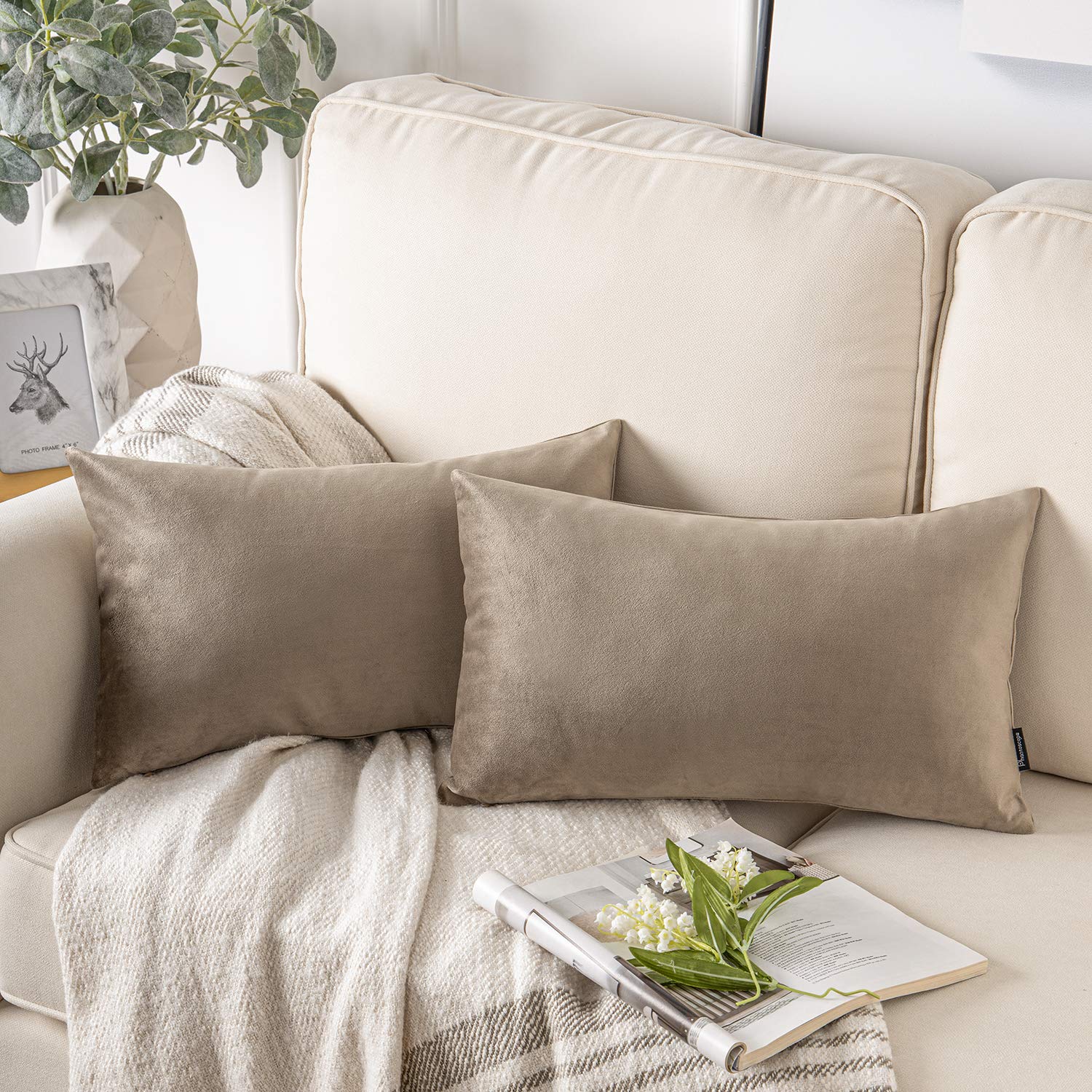 Phantoscope Pack Of 2 Velvet Decorative Throw Decorative Pillow Cover Soft Solid Square Cushion Case For Couch Taupe 12 X 20 Inc