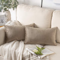 Phantoscope Pack Of 2 Velvet Decorative Throw Decorative Pillow Cover Soft Solid Square Cushion Case For Couch Taupe 12 X 20 Inc