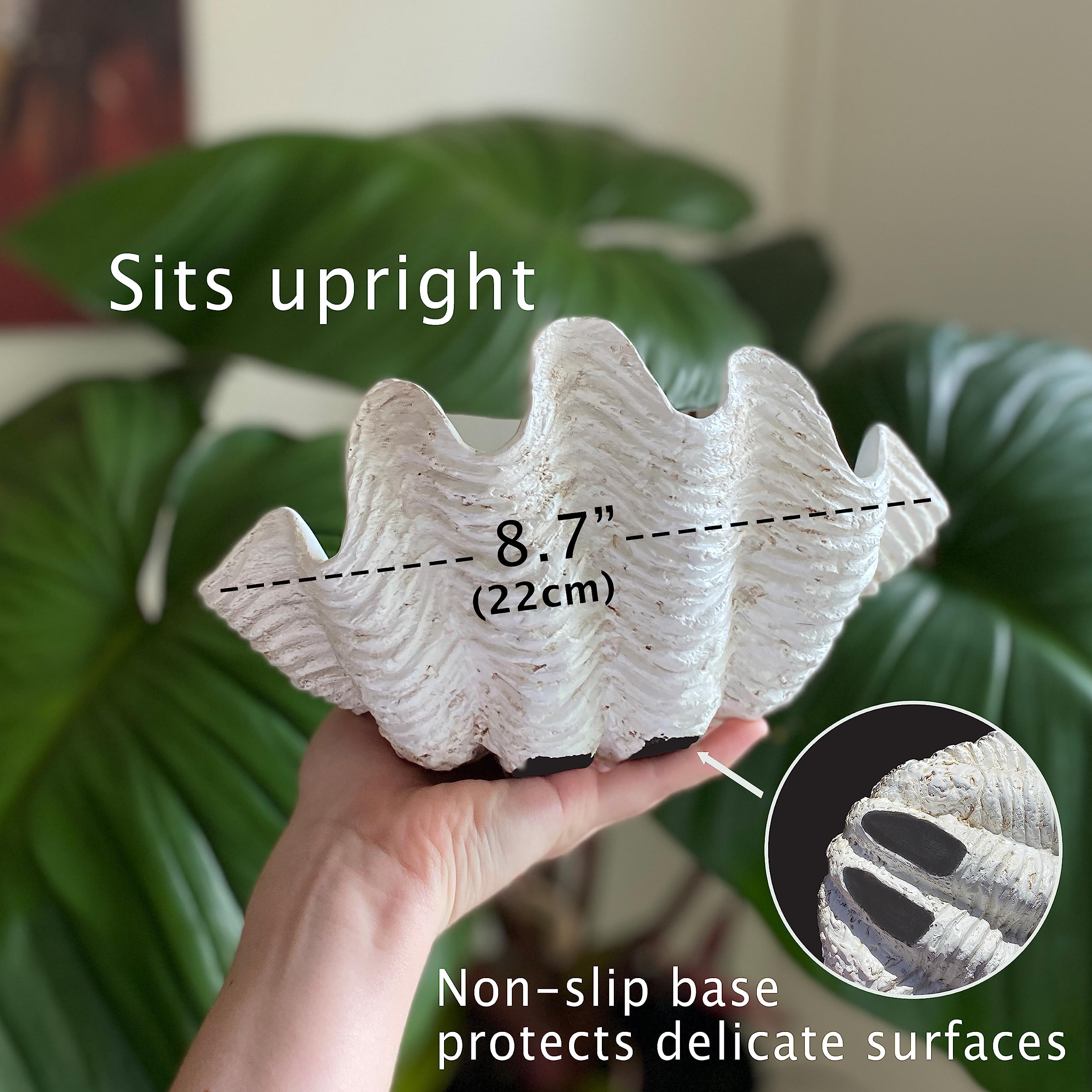 Huey House Small Clam Shell Sculptured Replica - 8.75Lx 5.6Wx 4.33H Handcrafted White Resin Seashell For Home Decoration Or Dish