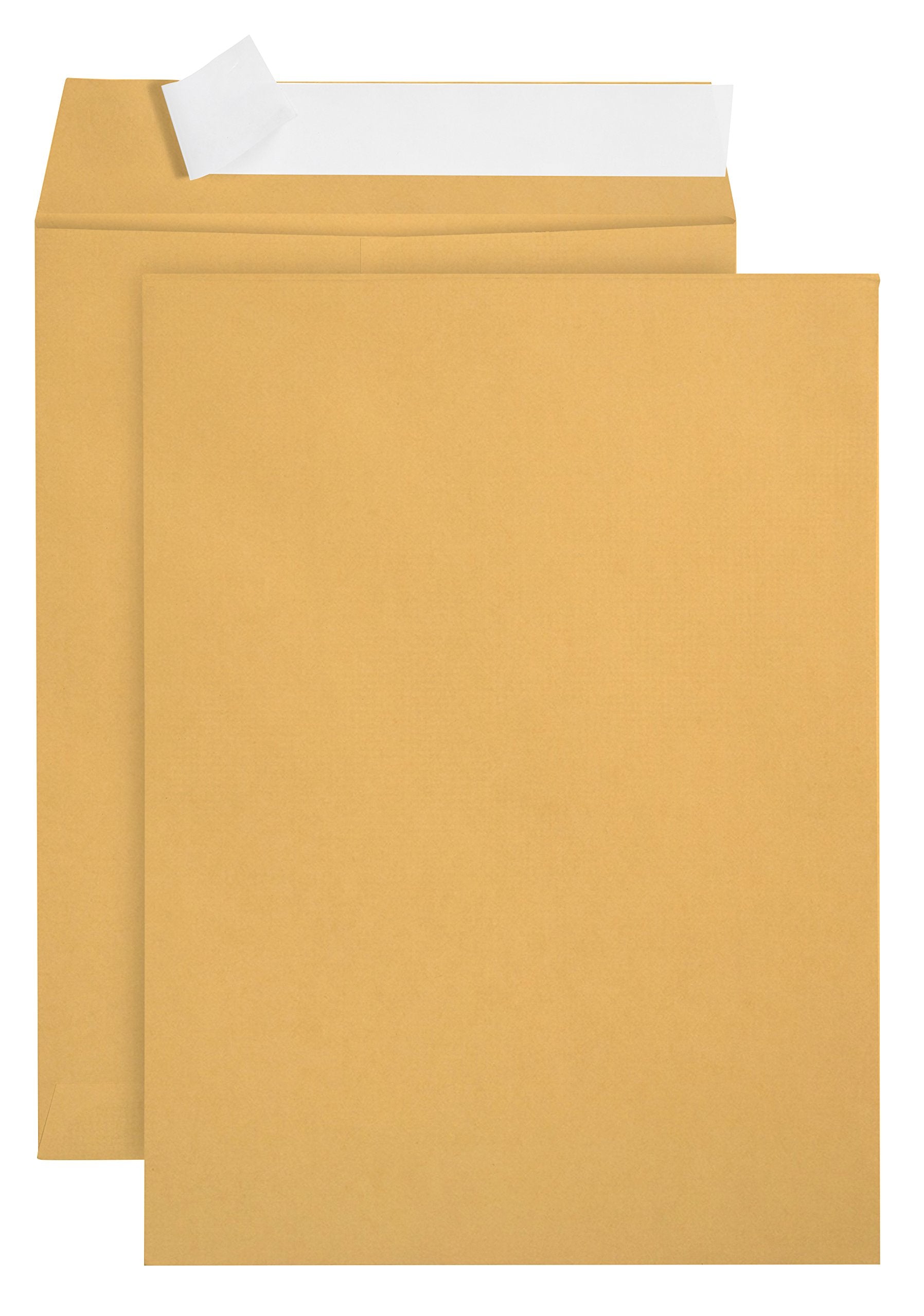 100 6 X 9 Self Seal Golden Brown Kraft Catalog Envelopes - Oversize 6 X 9 Envelope Peel And Seal Flap With 28 Pound Kraft Paper