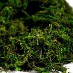 Byher Artificial Moss Fake Green Grass For Centerpieces Home Kitchen Garden Decor (3.5Oz, Fresh)