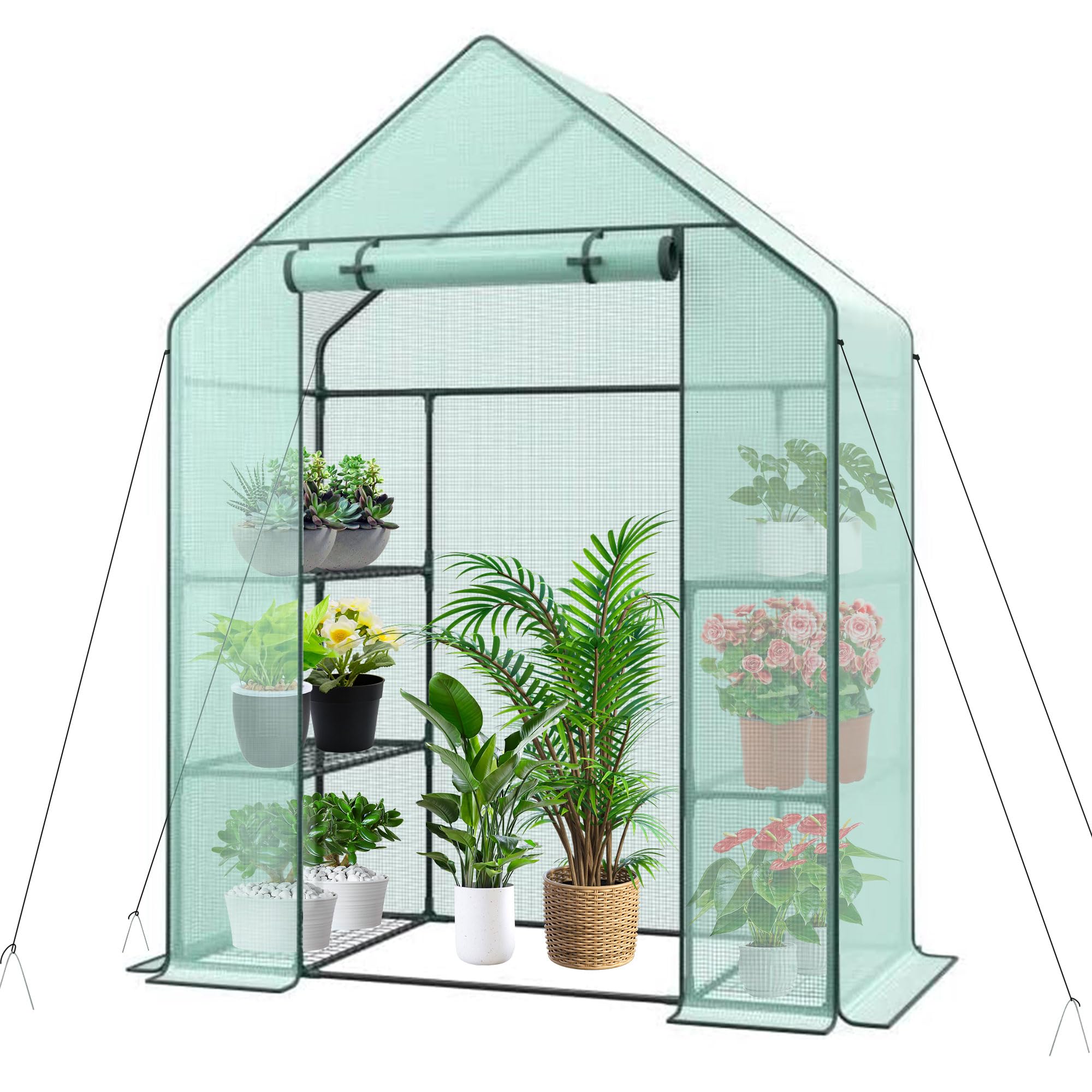 3 Tier 6 Shelves Mini Walk-In Greenhouse, 55.9 X 28.3 X 75.59 Inch, Durable Pe Cover Green House Kit With Anchors And Ropes, Out