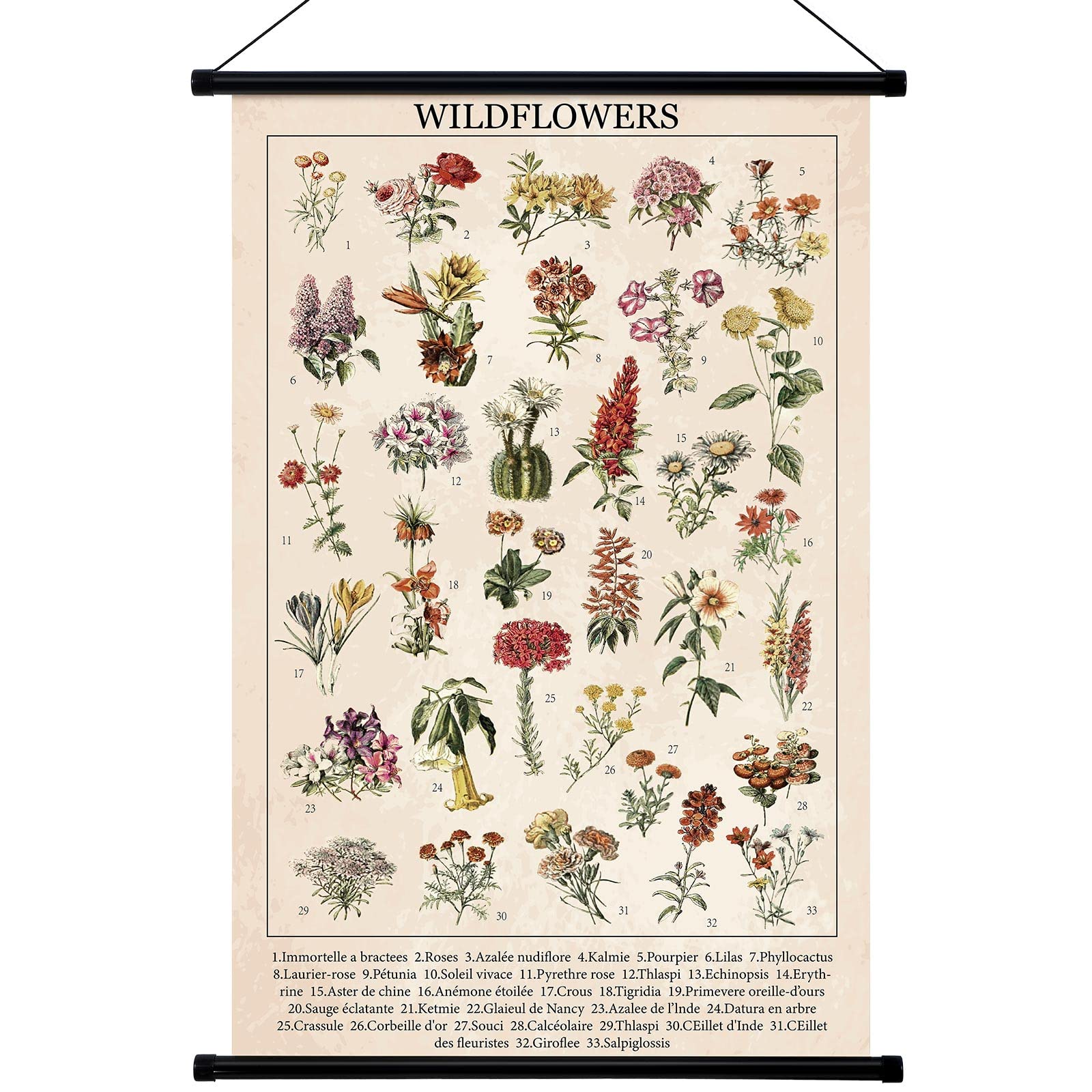 Geyee Vintage Poster Wall decor Rustic Hanging Wall Art Illustrative Reference Chart Prints Picture for Living Room Office Class