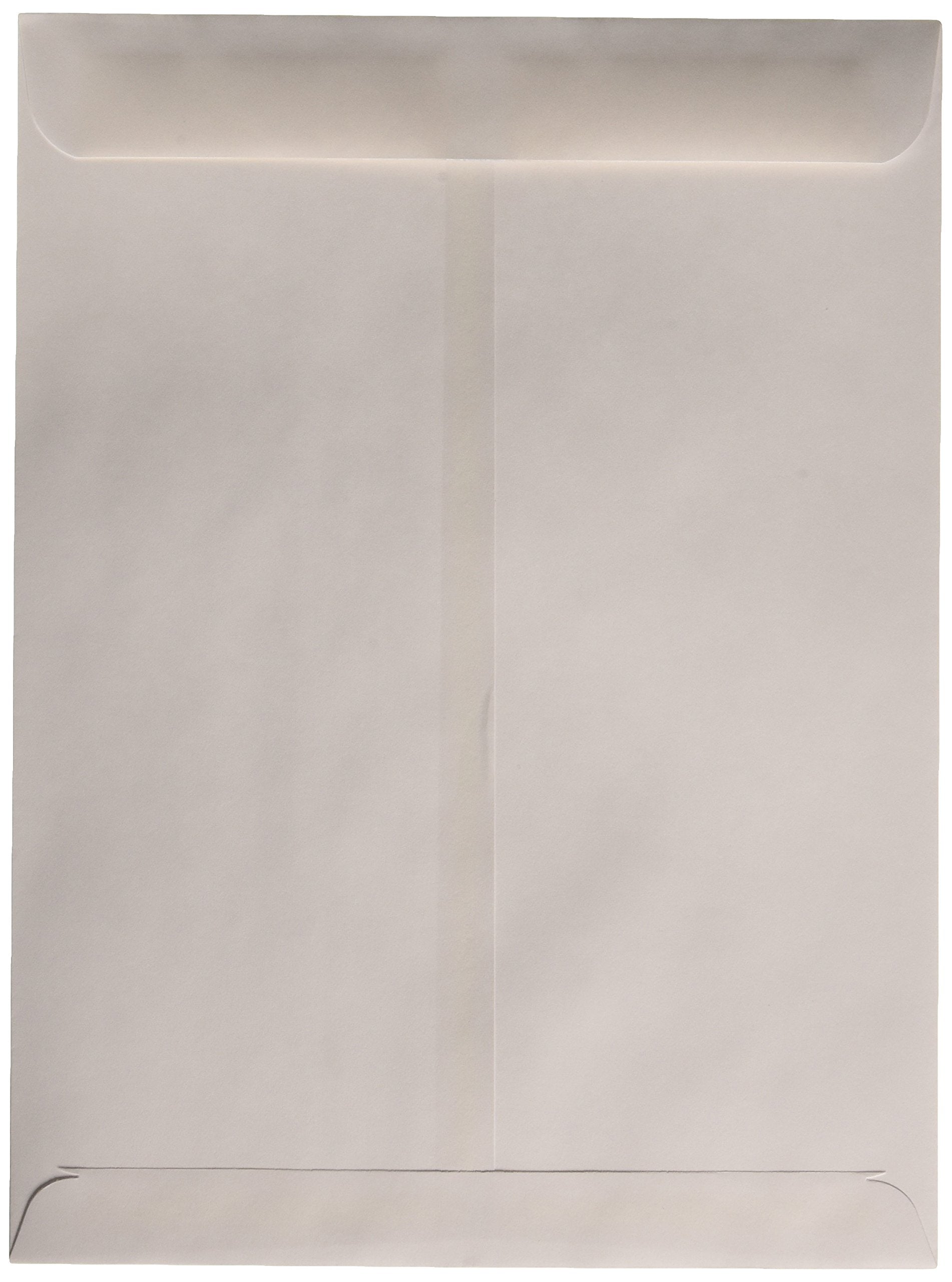 Quality Park Catalog Envelopes, Gummed, White, 9 X 12, 250 Per Box, (41485)