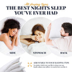 Eversnug Adjustable Layer Pillows For Sleeping - Set Of 2, Cooling, Luxury Pillows For Back, Stomach Or Side Sleepers (Queen (Pa