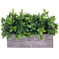 Artificial Eucalyptus Plant in Rustic Rectangular Wooden Planter Box Faux Potted Herb Plant Greenery Arrangement for Farmhouse I