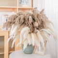 30 Stems 28 Inch Boho Decor Tall - Dried Pampas Grass, Brown & White Pampas Grass Fluffy Large, Dry Flowers, Tall Pampas Bulk Fo