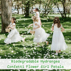 1500Pcs Dried Ivory White Hydrangea Flower Petals - 100% Natural Petals For Wedding, Party Confetti, Valentine'S Day, Flower Gir