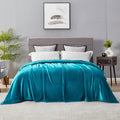 Dreamnine Super Large Soft Fuzzy Flannel Fleece Bed Blanket 108'' X 90'', Decorative Solid Lightweight Big Velvet Blanket, Luxur