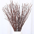 40 Pcs Real Dried Birch Twigs - 17 Natural Decorative Birch Branches for Vase, Centerpiece, Birch Sticks for DIY Crafts, Twig Wr