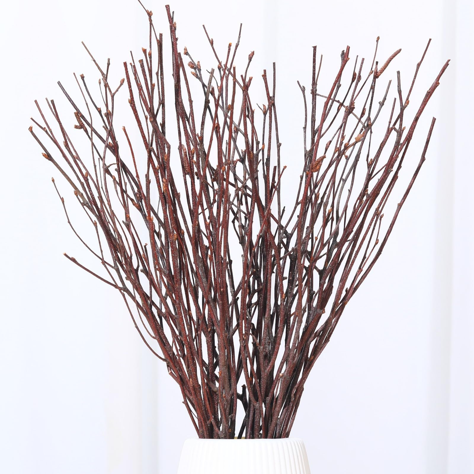 40 Pcs Real Dried Birch Twigs - 17 Natural Decorative Birch Branches for Vase, Centerpiece, Birch Sticks for DIY Crafts, Twig Wr