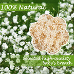 2000+ Dried Babys Breath Flowers Bulk - 17'' Ivory White Dried Flower Bouquet, Real Natural Gypsophila Branches For Vase Filler,
