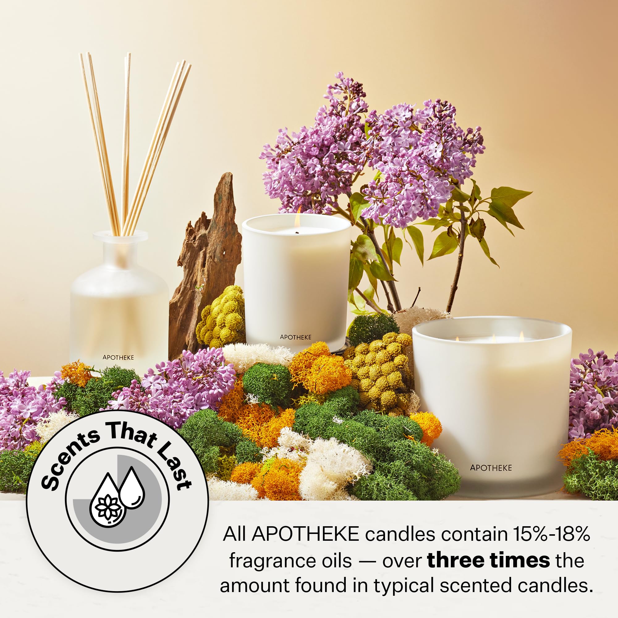 Apotheke Luxury Scented Candles For Home, Earl Grey Bitters - Aromatherapy Jar Candle With Soy Wax Blend