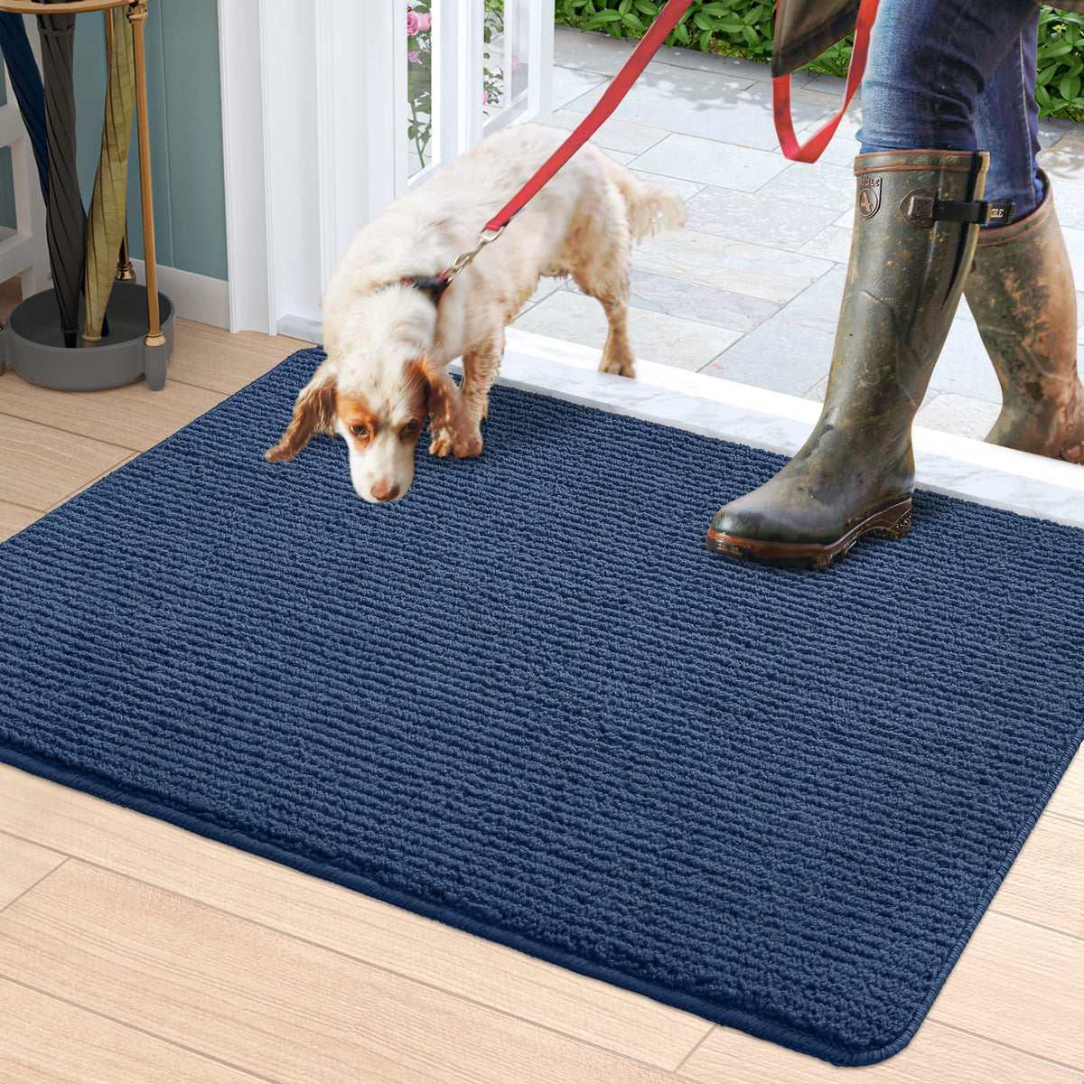 Dexi Entryway Rug Indoor Entry Doormat Front Door Rugs Non Slip Low Profile Absorbent Washable Mats For Home Entrance 19.5'X31.
