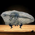 XINDAM Resin Spinosaurus Dinosaur Fossil Statue Model Simulated Skeleton Home Office Display Decorative Craft Box Decoration (St