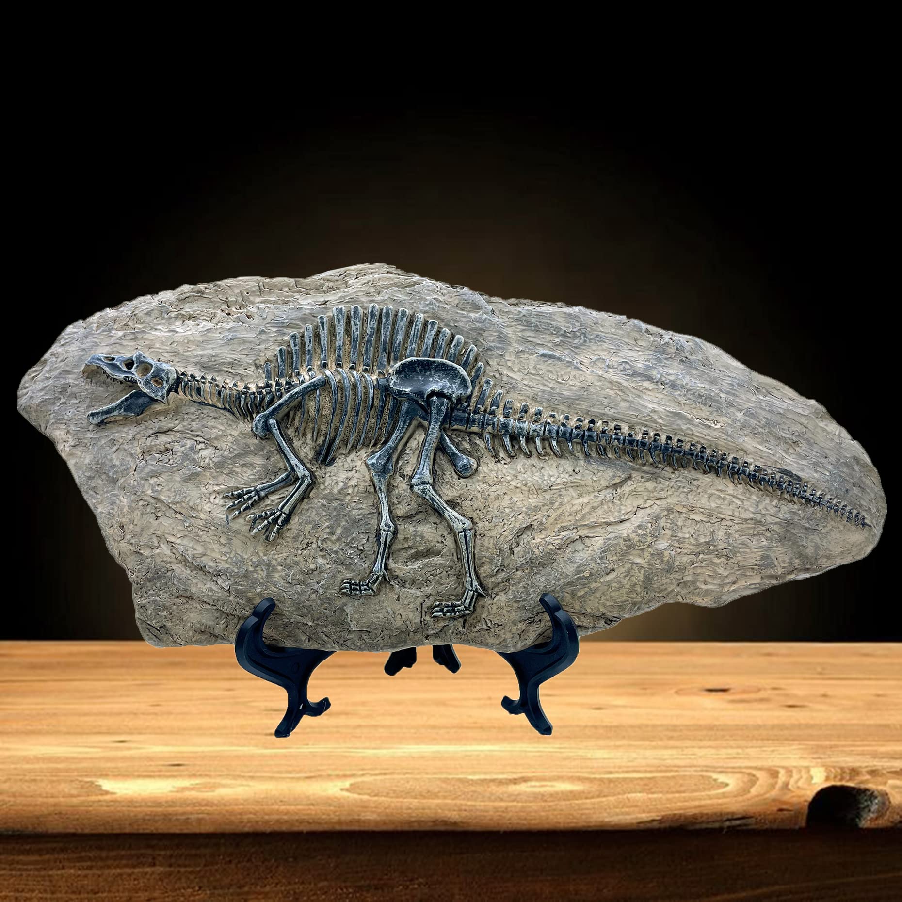 XINDAM Resin Spinosaurus Dinosaur Fossil Statue Model Simulated Skeleton Home Office Display Decorative Craft Box Decoration (St