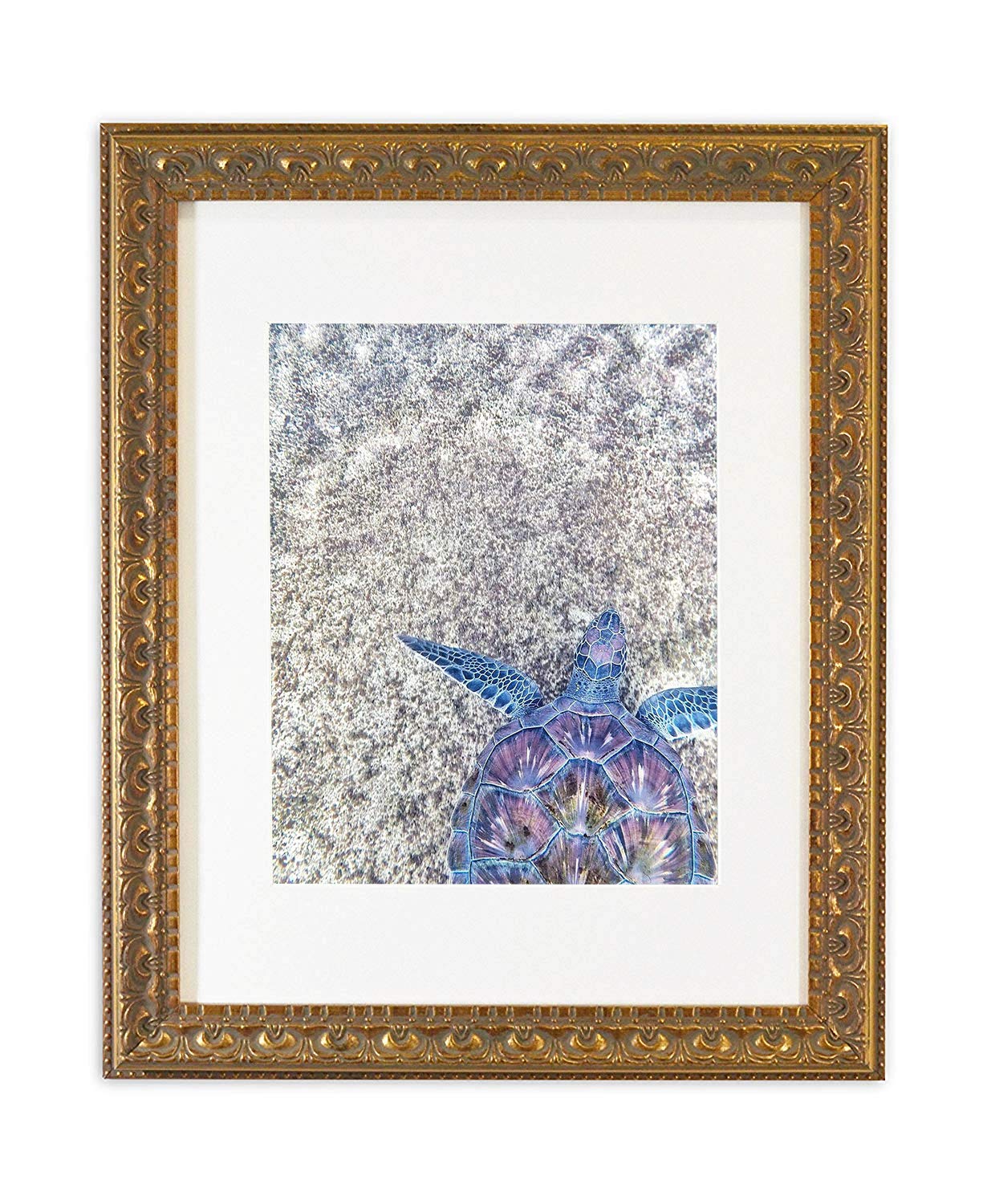 Golden State Art, 11x14 Photo Frame with White Mat for 8x10 Picture & Real Glass for Wall Display - Home or Office Classic Desig