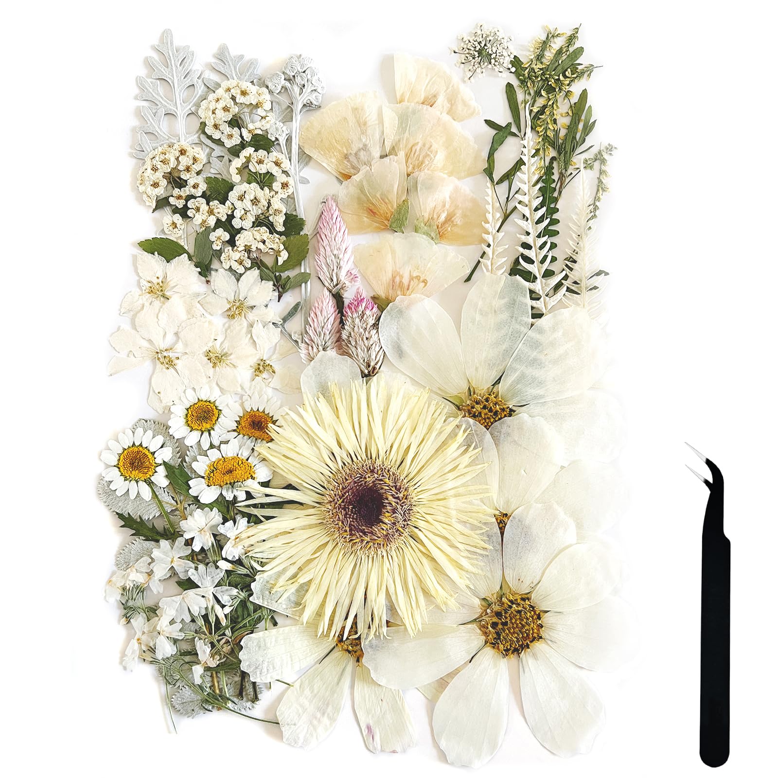 Zqmino A4 Large Dried Pressed Flowers For Resin White Pressed Flowers Real Dry Natural Flowers Leaves For Resin Mold Cake Candle