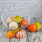 Jedfore 12Pcs Lifelike Simulation Realistic Mixture Of Artificial Pumpkins Fake Vegetable Fruit For Home Decoration