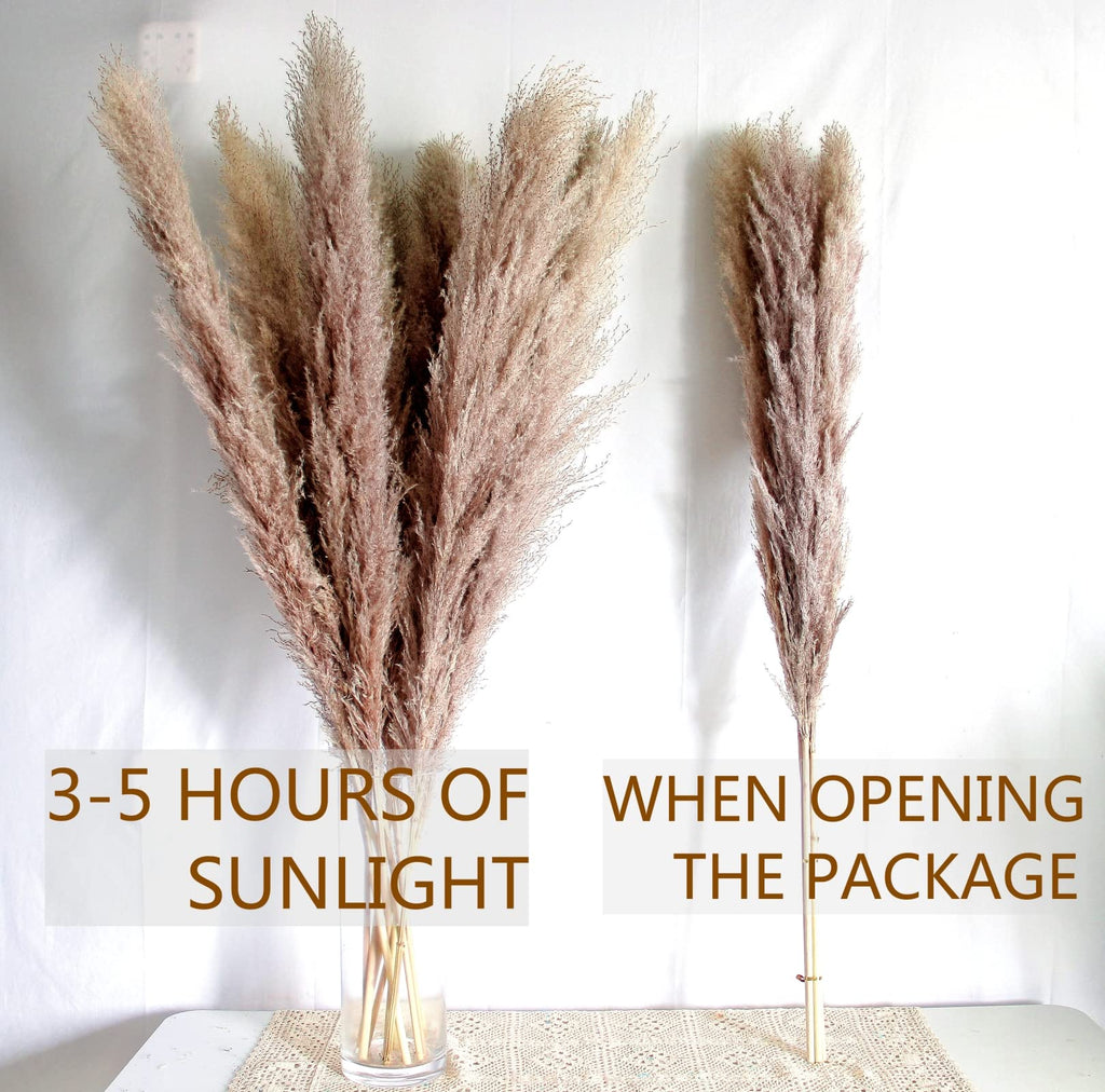 46'' Inch 10 Stems Natural Pampas Grass Decor Tall, Pompas Grass, Tall Pampas Grass For Weddingm, Farmhouse, Boho Home Decor (Gr